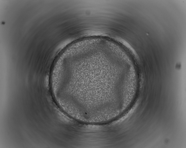X0000100360777200807031837
