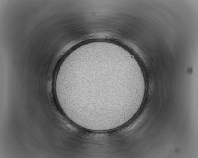 X0000100360778200807031837