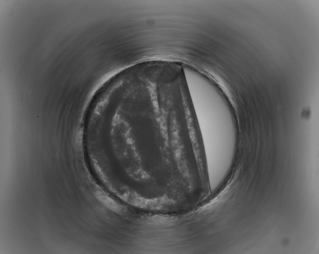 X0000100360779200807031837