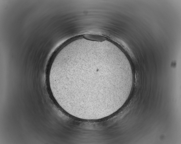 X0000100360780200807031837