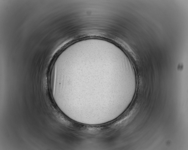 X0000100360782200807031837
