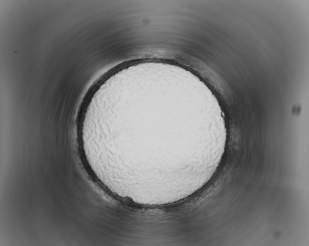 X0000100360784200807031837