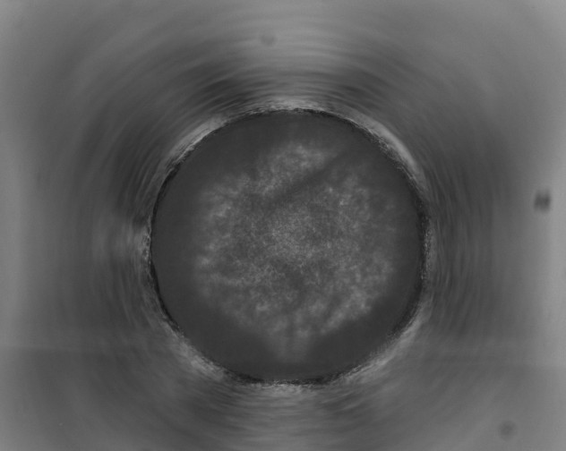 X0000100360785200807031837