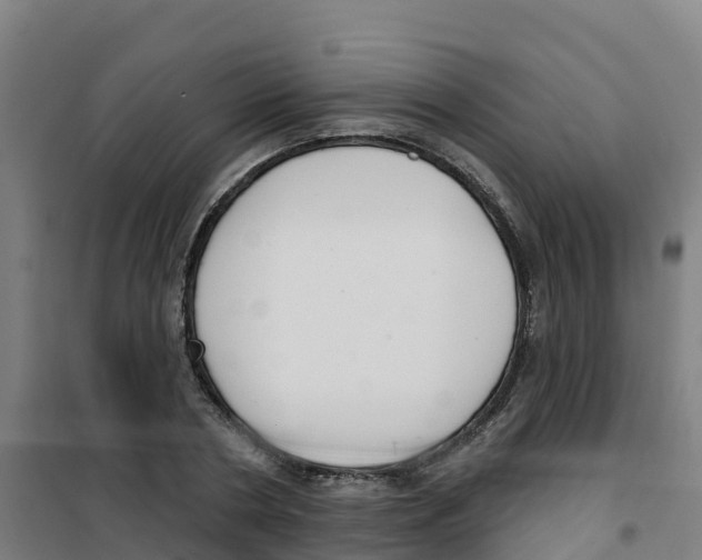 X0000100360786200807031837