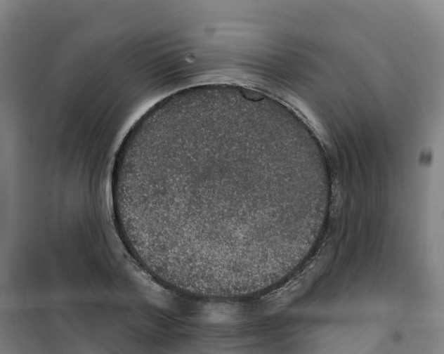 X0000100360788200807031837