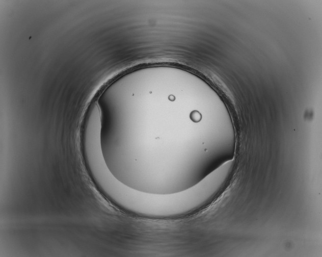 X0000100360789200807031837