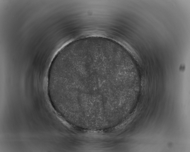 X0000100360790200807031837