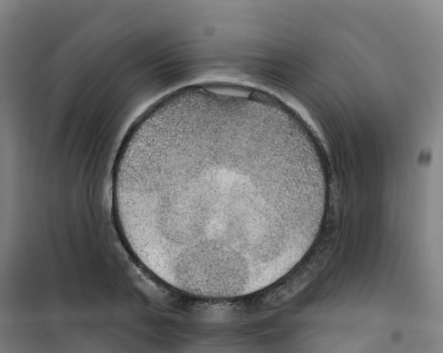 X0000100360791200807031837
