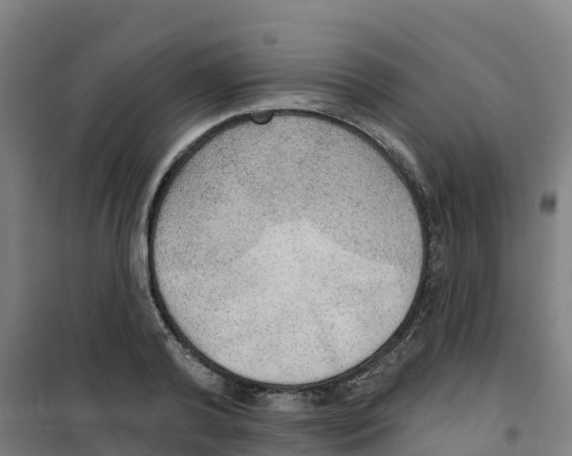 X0000100360792200807031837