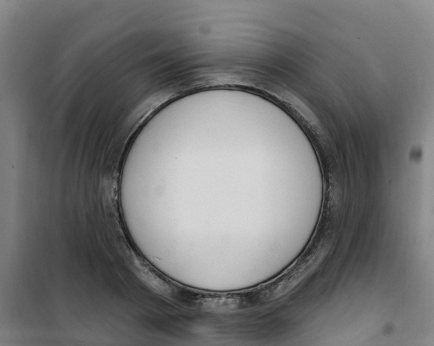 X0000100360793200807031837