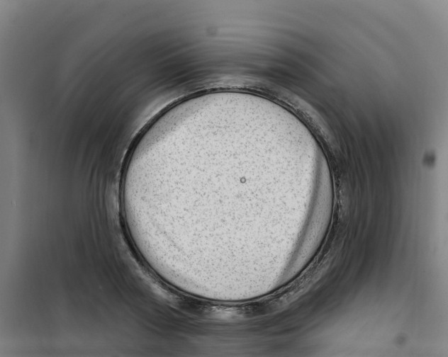 X0000100360794200807031837