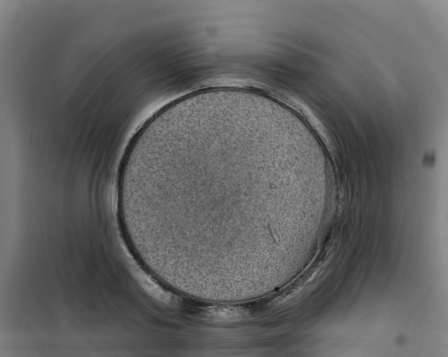 X0000100360795200807031837