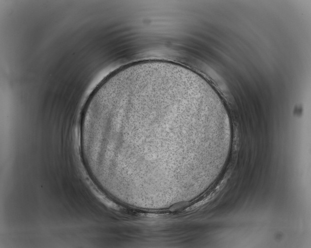 X0000100360796200807031837