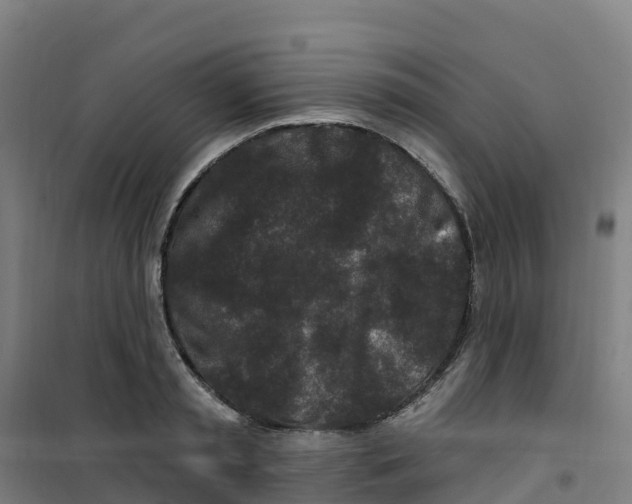 X0000100360797200807031837