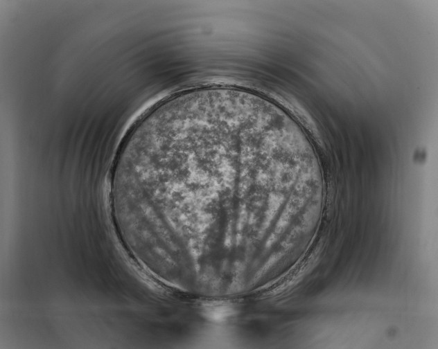 X0000100360798200807031837