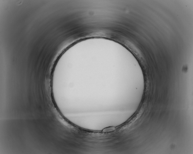 X0000100360800200807031836