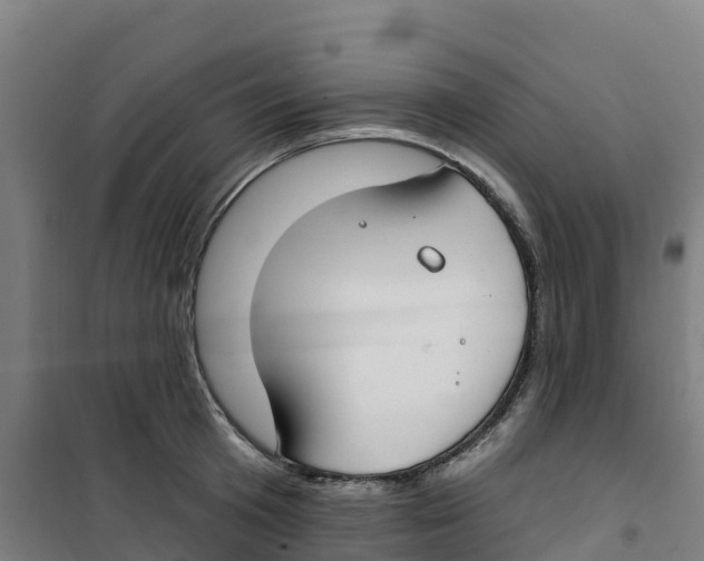 X0000100360801200807031836