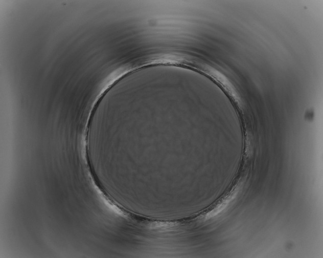 X0000100360802200807031836