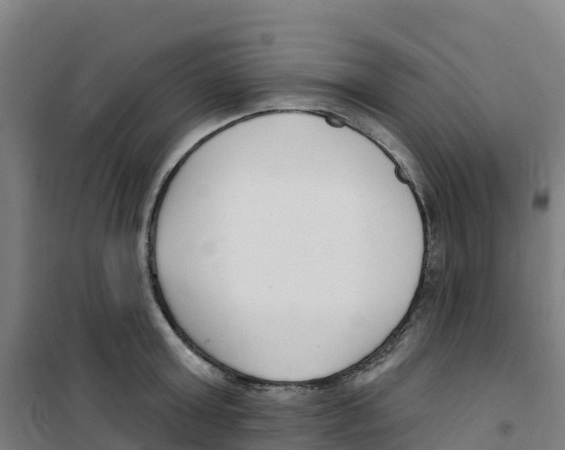 X0000100360803200807031836