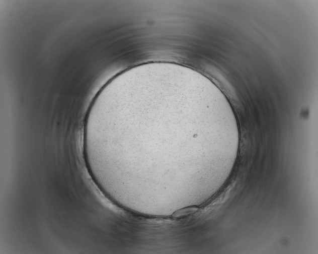X0000100360804200807031836