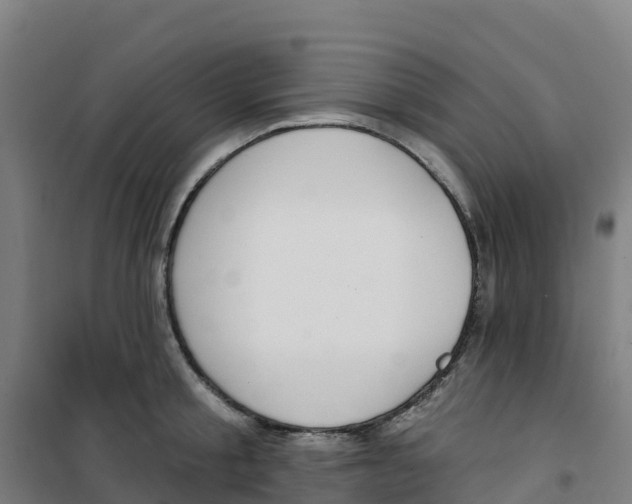 X0000100360805200807031836