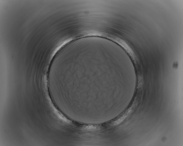X0000100360806200807031836