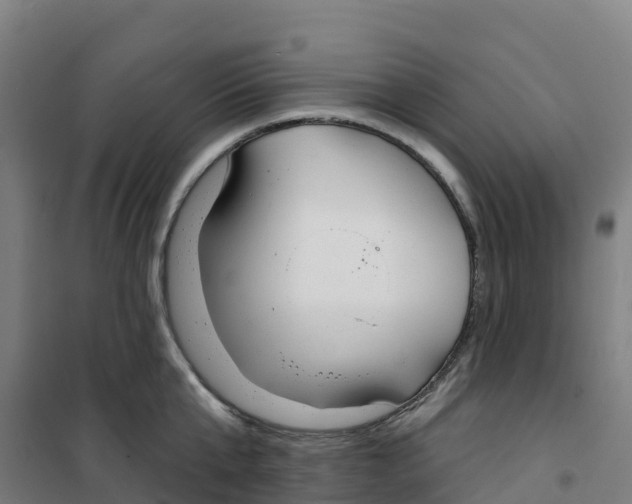 X0000100360807200807031836