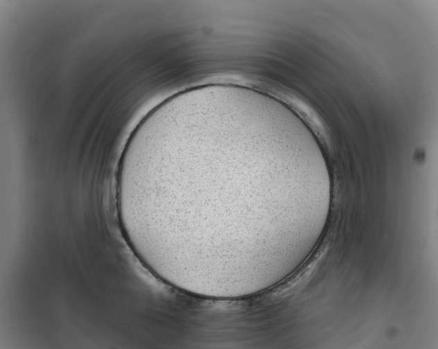 X0000100360808200807031836
