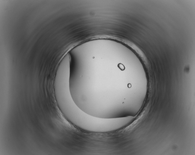 X0000100360809200807031836