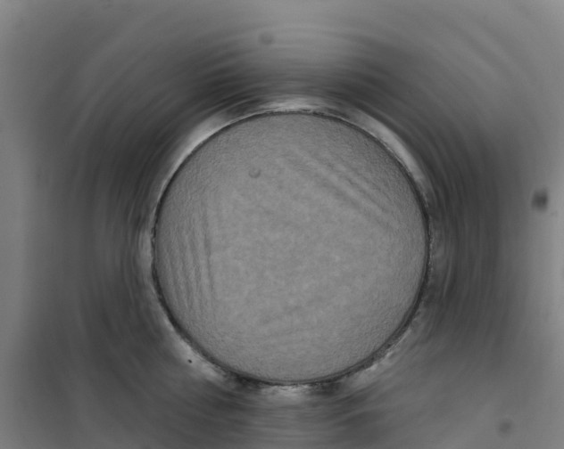 X0000100360810200807031836