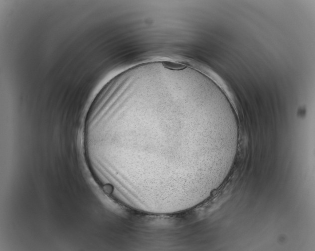 X0000100360811200807031836