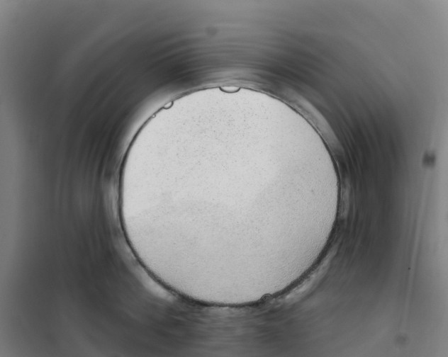 X0000100360812200807031836