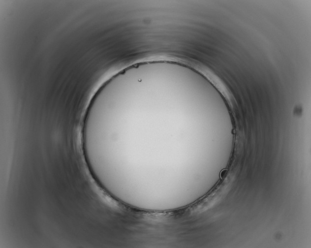 X0000100360813200807031836
