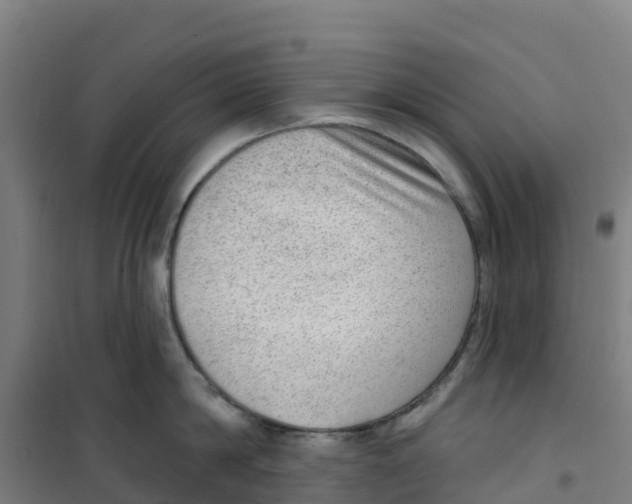 X0000100360814200807031836