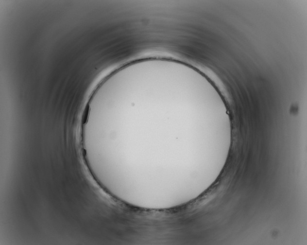 X0000100360815200807031836