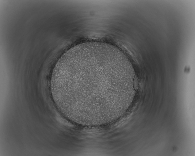X0000100360817200807031835