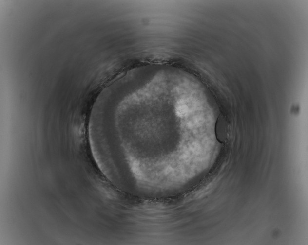 X0000100360818200807031835
