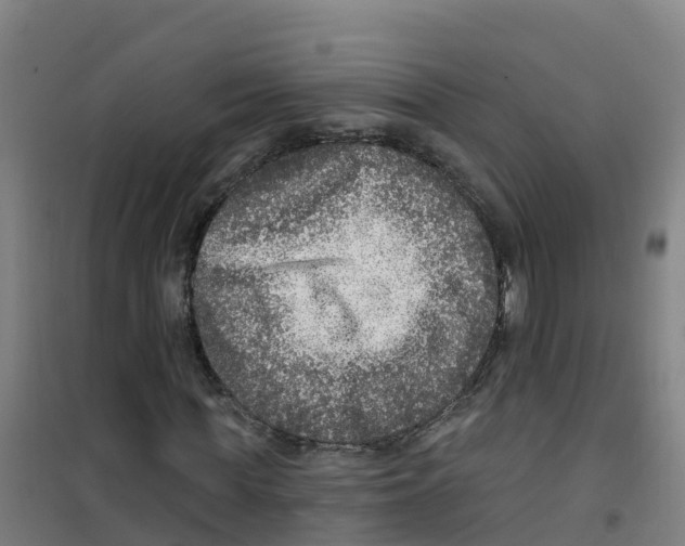 X0000100360819200807031835