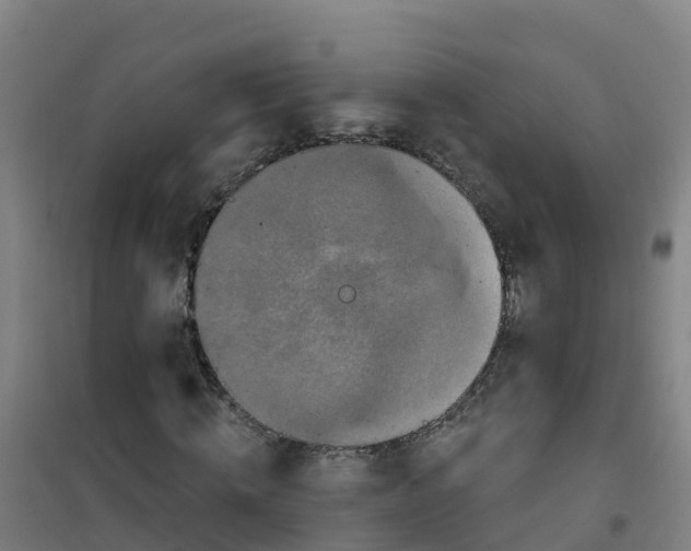 X0000100360820200807031835