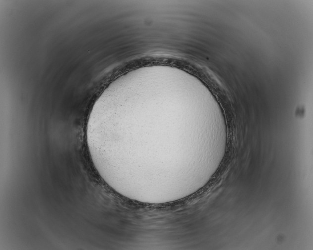 X0000100360821200807031835