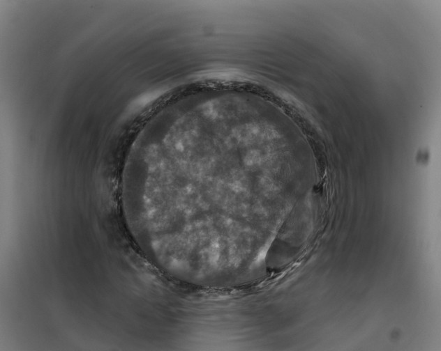 X0000100360822200807031835