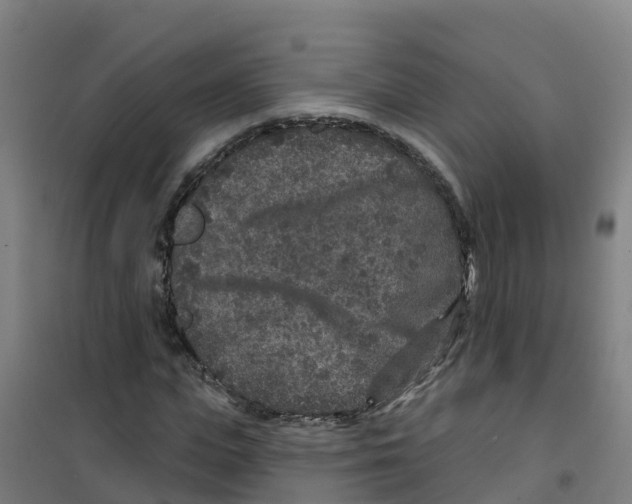 X0000100360823200807031836