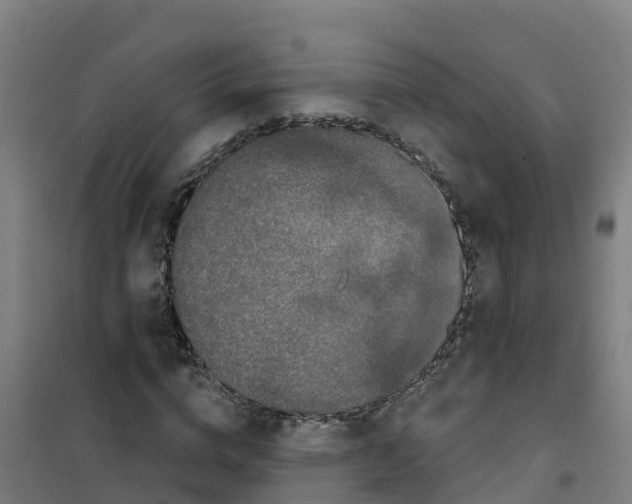 X0000100360824200807031836