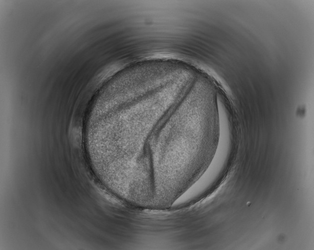 X0000100360825200807031836