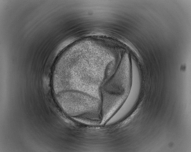 X0000100360826200807031836