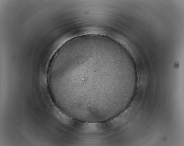 X0000100360828200807031836