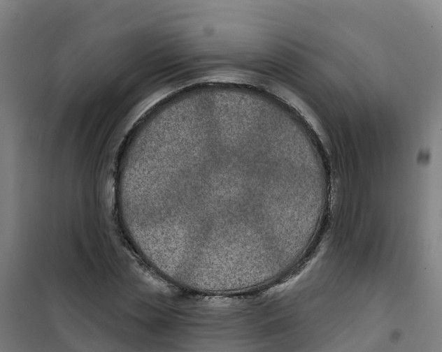 X0000100360829200807031836