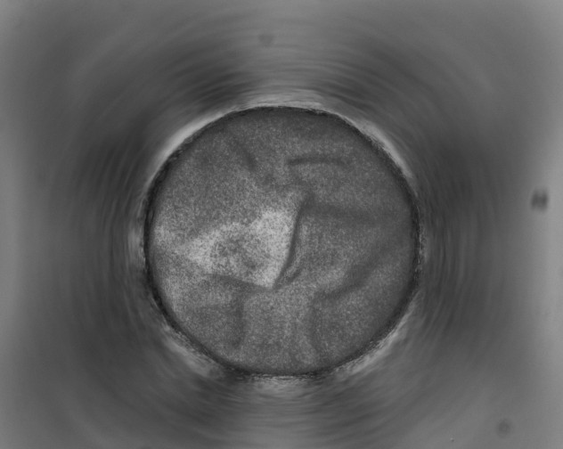 X0000100360830200807031836