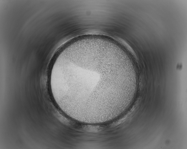 X0000100360831200807031836