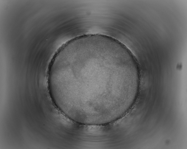 X0000100360832200807031836